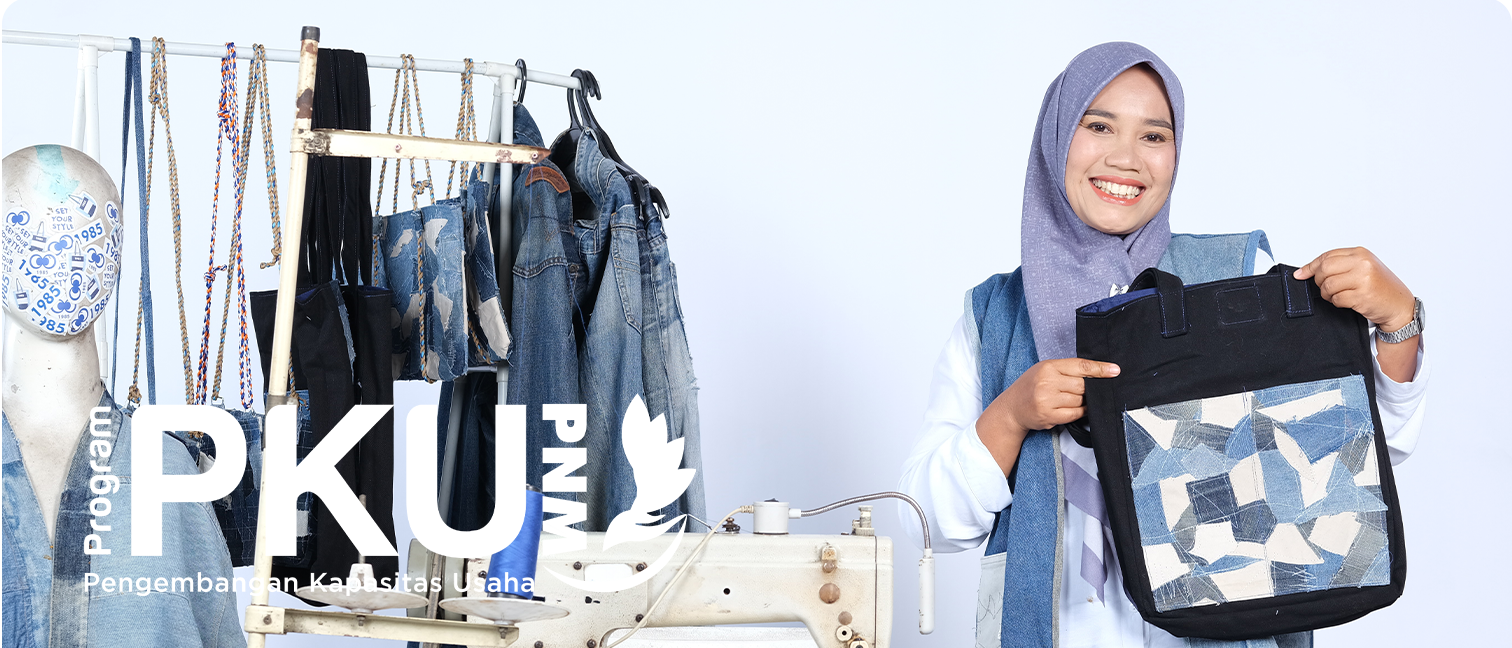 Program Pengembangan Kapasitas Usaha