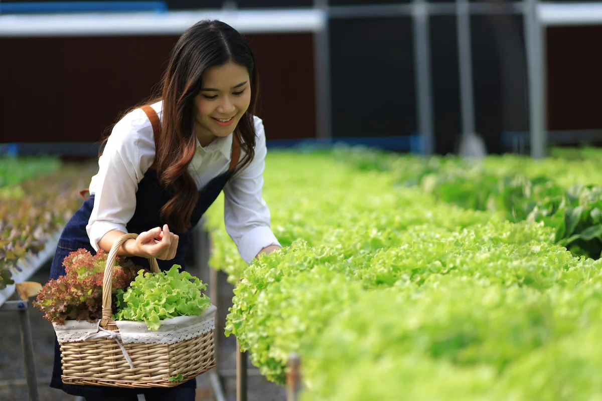 9 Usaha yang Cocok di Kampung dengan Modal Kecil Serta Estimasi Keuntungannya